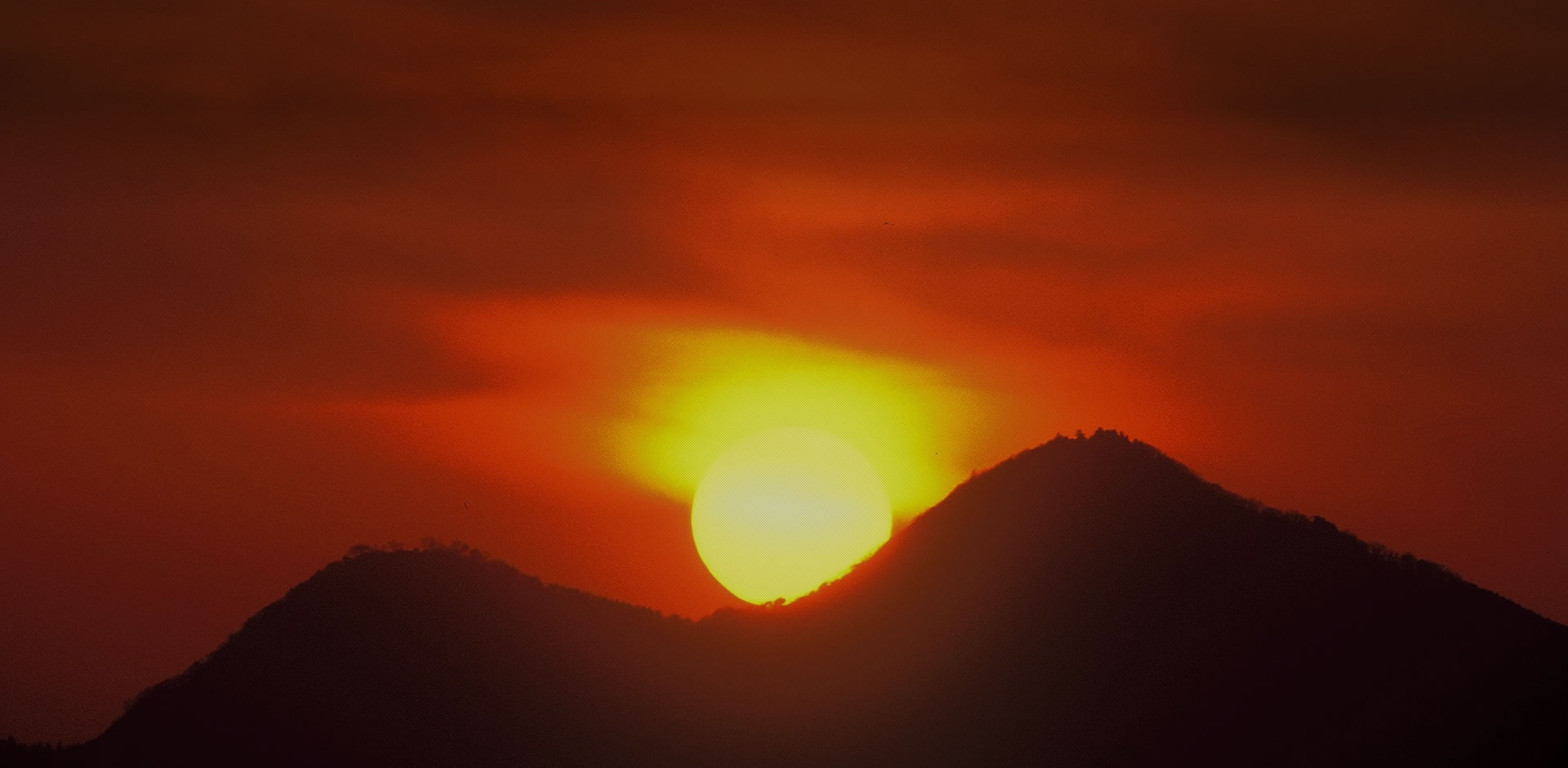 slider02 有限会社中将堂本舗